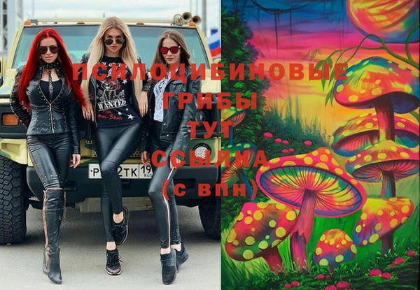 дживик Алзамай