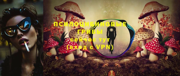 стаф Алексеевка