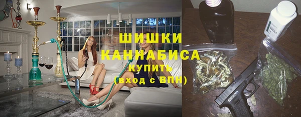 ПСИЛОЦИБИНОВЫЕ ГРИБЫ Арсеньев