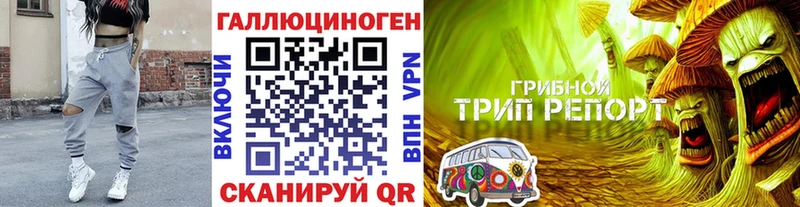 Псилоцибиновые грибы Cubensis  Обнинск 