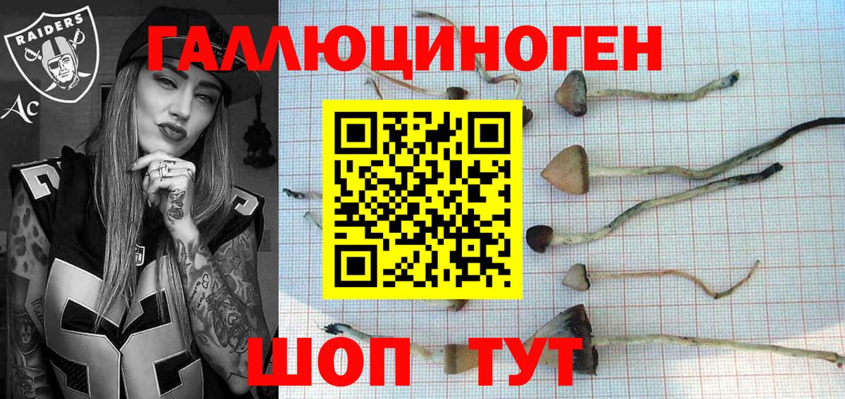 Псилоцибиновые грибы мицелий Обнинск