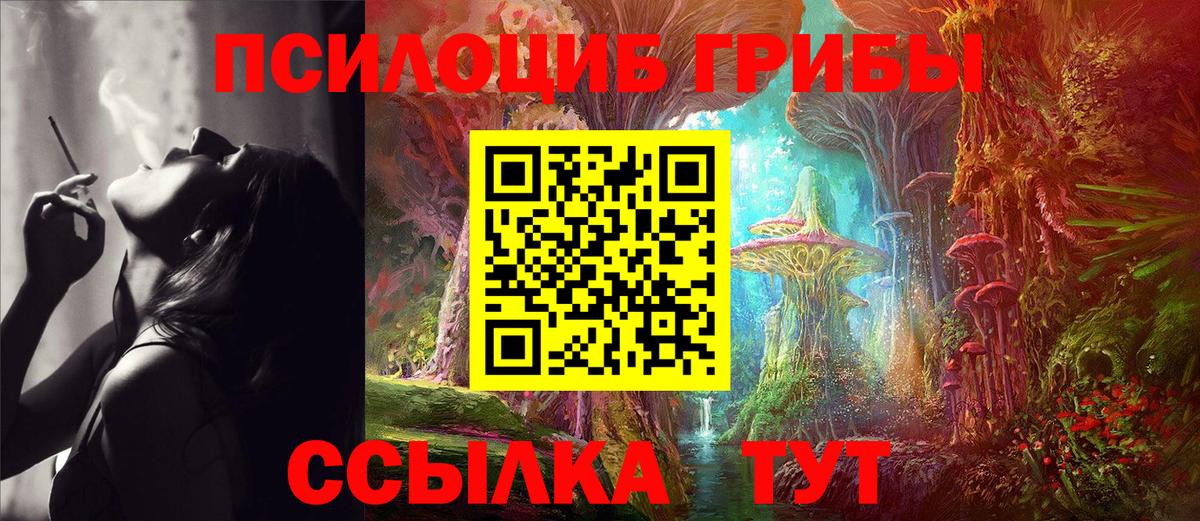 Псилоцибиновые грибы Cubensis Обнинск