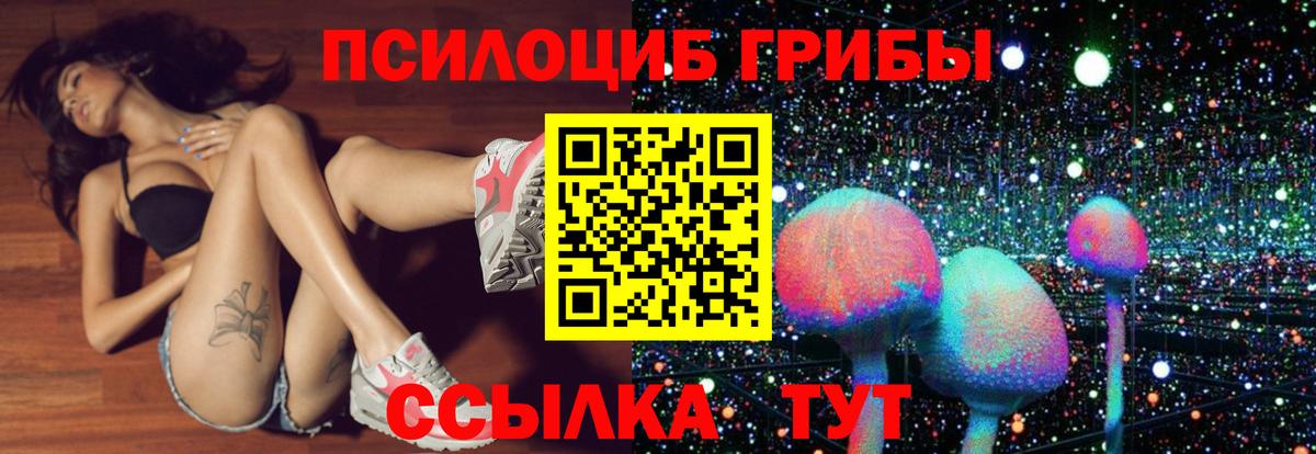 Меф Обнинск