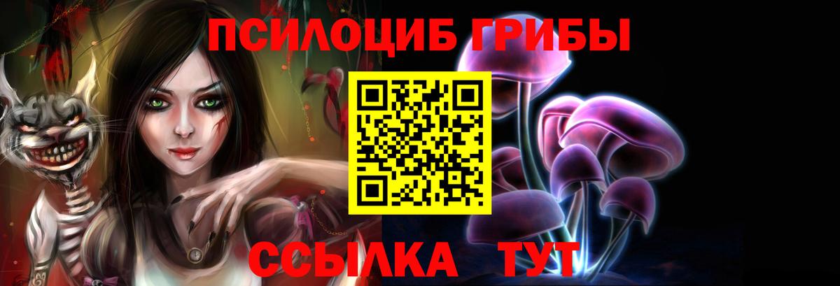 Обнинск  Псилоцибиновые грибы GOLDEN TEACHER  что такое наркотик  Вход с VPN 